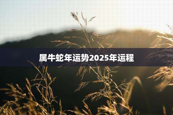 属牛蛇年运势2025年运程