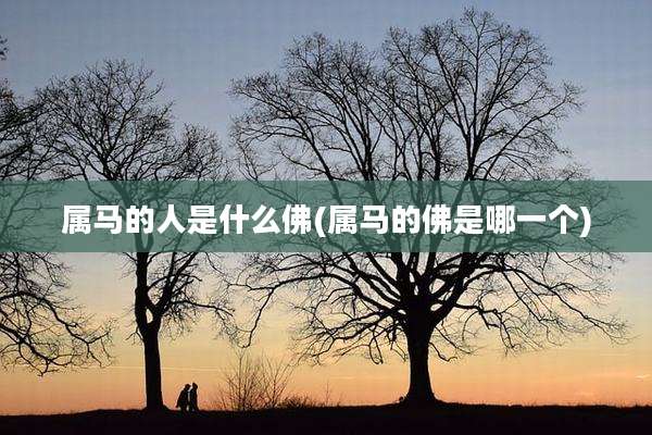 属马的人是什么佛(属马的佛是哪一个)
