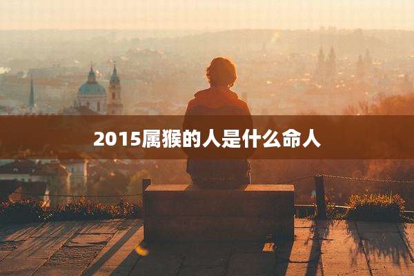 2015属猴的人是什么命人