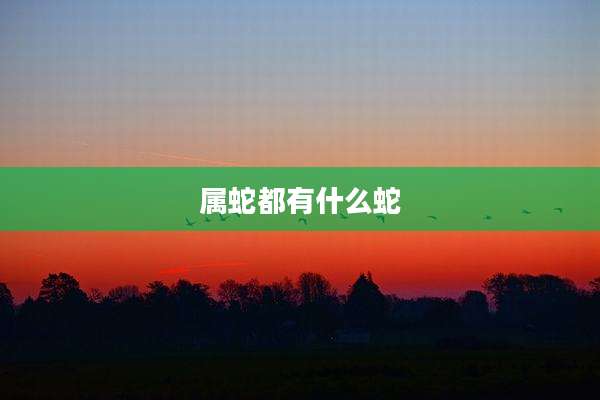 属蛇都有什么蛇