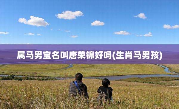 属马男宝名叫唐荣锦好吗(生肖马男孩)