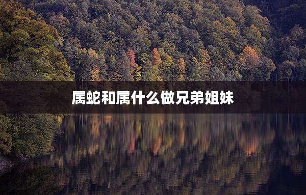 属蛇和属什么做兄弟姐妹