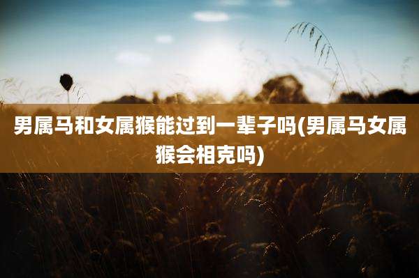 男属马和女属猴能过到一辈子吗(男属马女属猴会相克吗)