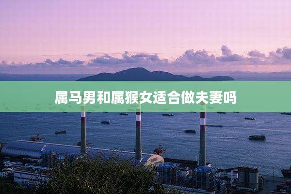 属马男和属猴女适合做夫妻吗