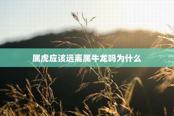 属虎应该远离属牛龙吗为什么