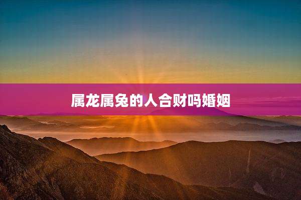 属龙属兔的人合财吗婚姻