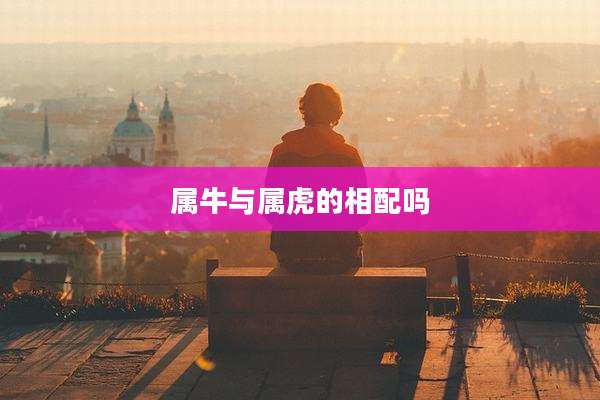 属牛与属虎的相配吗