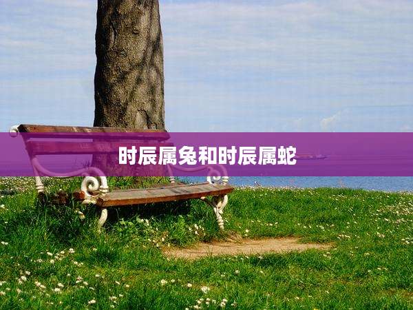 时辰属兔和时辰属蛇