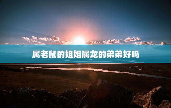 属老鼠的姐姐属龙的弟弟好吗