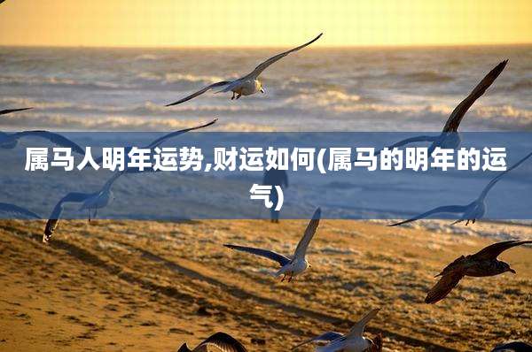 属马人明年运势,财运如何(属马的明年的运气)