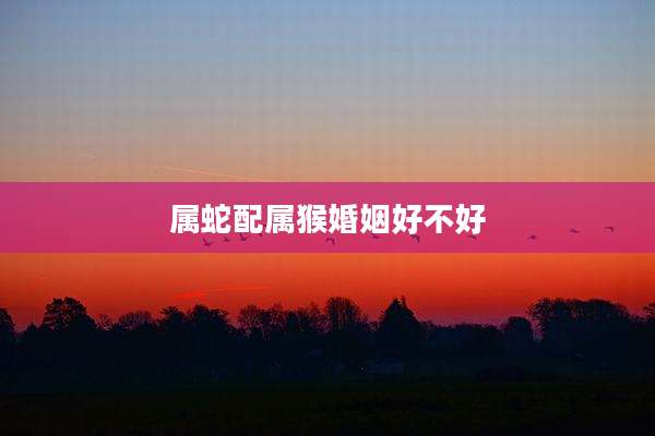 属蛇配属猴婚姻好不好