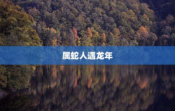 属蛇人遇龙年