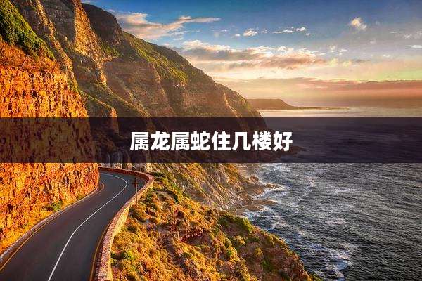 属龙属蛇住几楼好