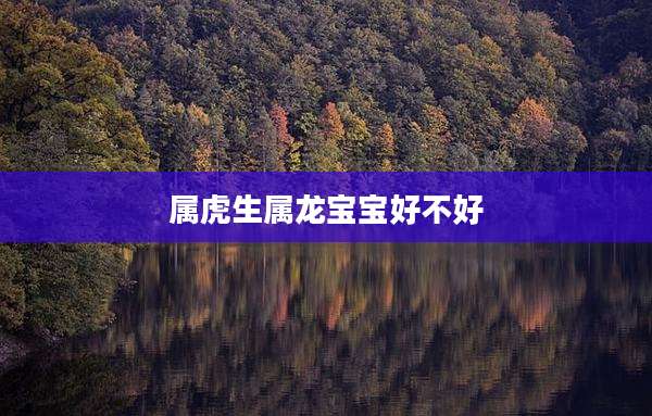 属虎生属龙宝宝好不好