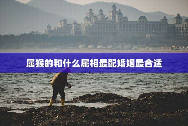 属猴的和什么属相最配婚姻最合适