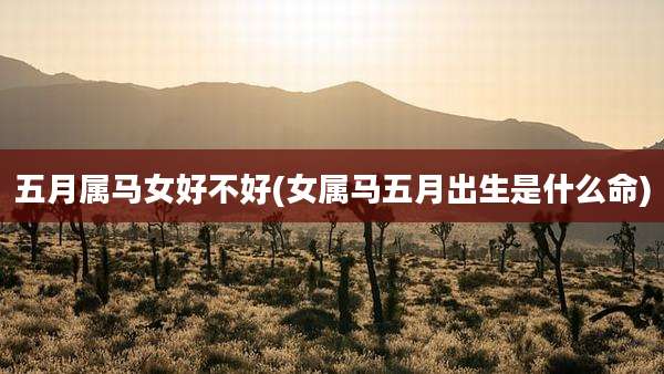 五月属马女好不好(女属马五月出生是什么命)