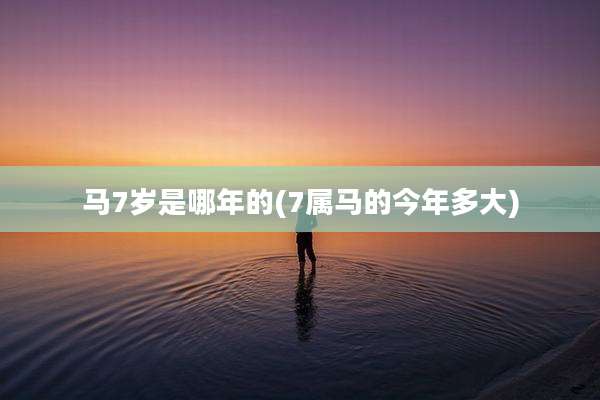 马7岁是哪年的(7属马的今年多大)