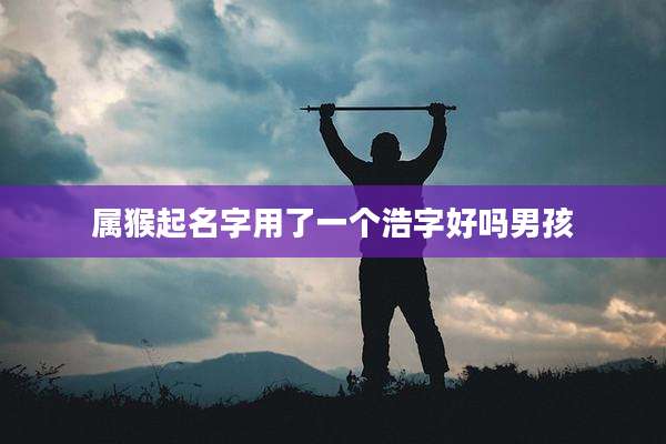属猴起名字用了一个浩字好吗男孩
