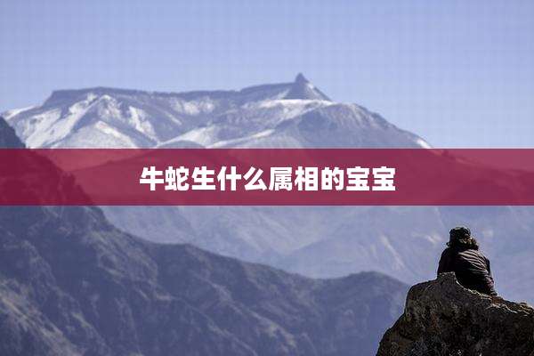 牛蛇生什么属相的宝宝