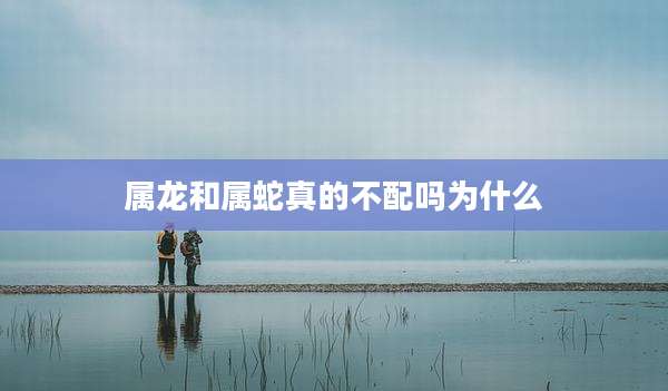 属龙和属蛇真的不配吗为什么