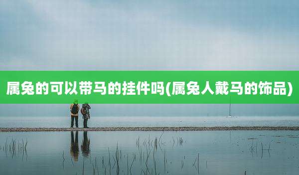 属兔的可以带马的挂件吗(属兔人戴马的饰品)