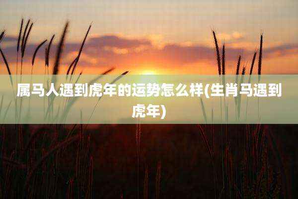 属马人遇到虎年的运势怎么样(生肖马遇到虎年)