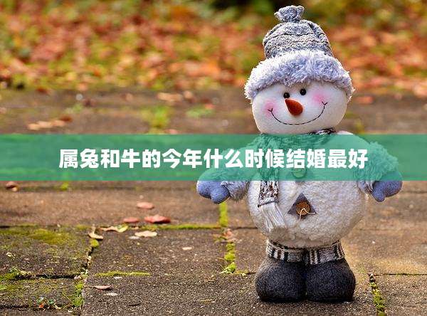 属兔和牛的今年什么时候结婚最好