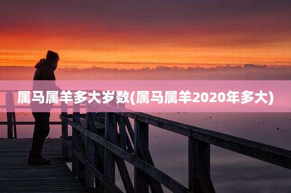属马属羊多大岁数(属马属羊2020年多大)