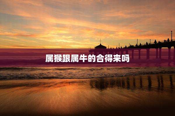 属猴跟属牛的合得来吗