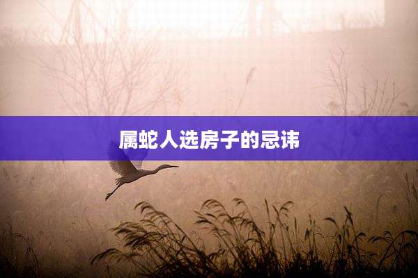 属蛇人选房子的忌讳