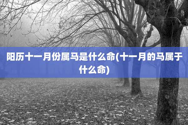 阳历十一月份属马是什么命(十一月的马属于什么命)