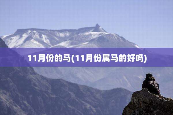 11月份的马(11月份属马的好吗)