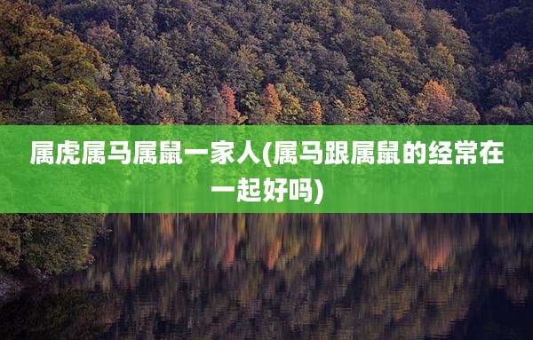 属虎属马属鼠一家人(属马跟属鼠的经常在一起好吗)