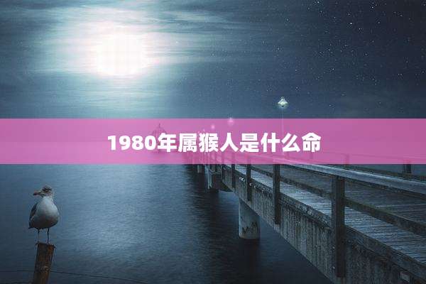 1980年属猴人是什么命