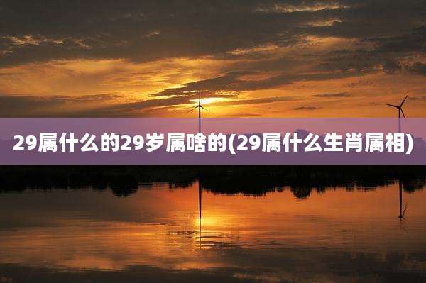 29属什么的29岁属啥的(29属什么生肖属相)