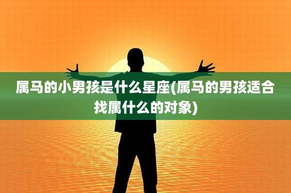 属马的小男孩是什么星座(属马的男孩适合找属什么的对象)