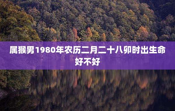 属猴男1980年农历二月二十八卯时出生命好不好