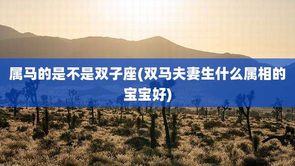 属马的是不是双子座(双马夫妻生什么属相的宝宝好)