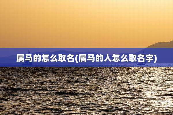 属马的怎么取名(属马的人怎么取名字)