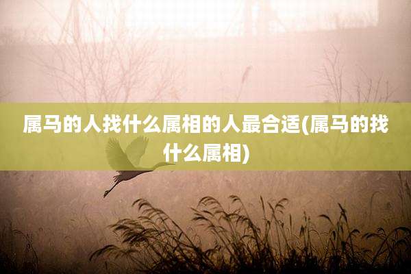 属马的人找什么属相的人最合适(属马的找什么属相)