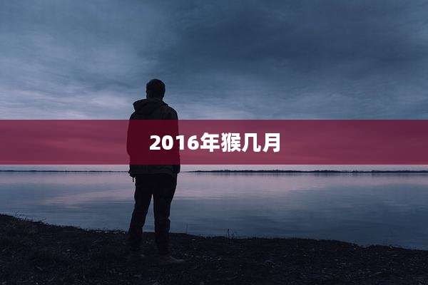 2016年猴几月