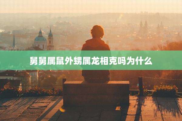 舅舅属鼠外甥属龙相克吗为什么