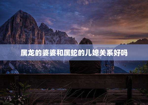 属龙的婆婆和属蛇的儿媳关系好吗