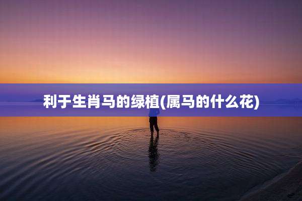 利于生肖马的绿植(属马的什么花)