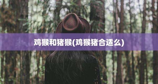鸡猴和猪猴(鸡猴猪合适么)