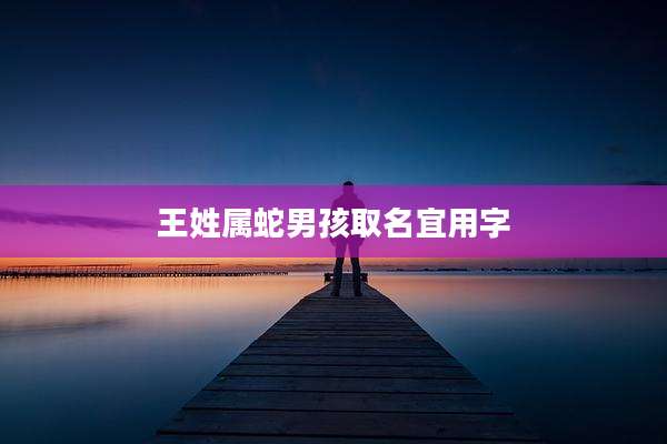 王姓属蛇男孩取名宜用字