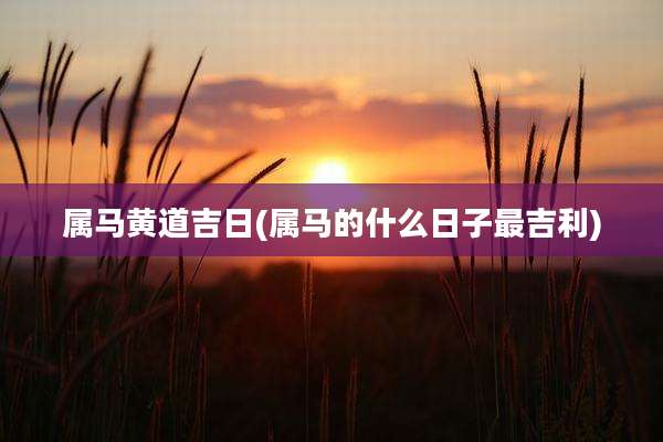 属马黄道吉日(属马的什么日子最吉利)