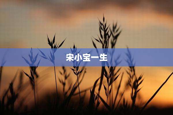 宋小宝一生