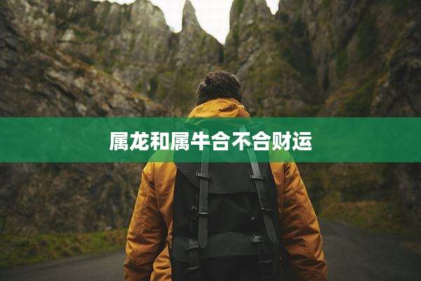 属龙和属牛合不合财运