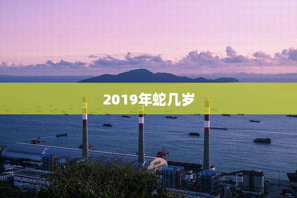 2019年蛇几岁